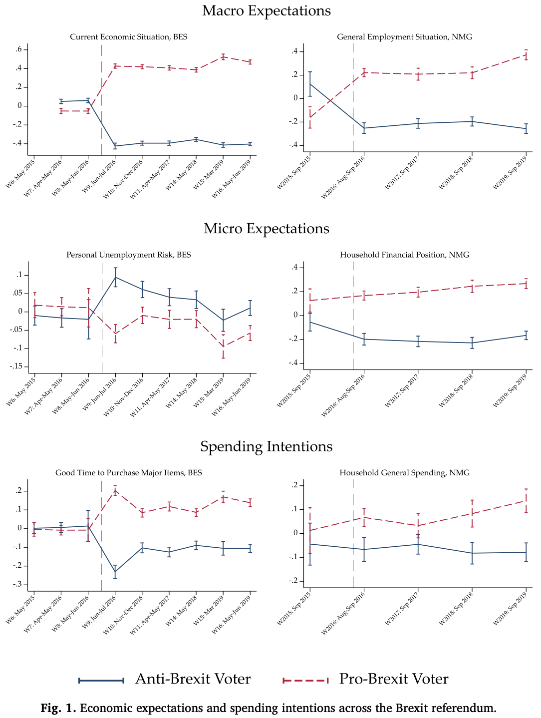 Ballots, Budgets and Bricks: Brexit and the Polarisation of Individual Economic Behaviours